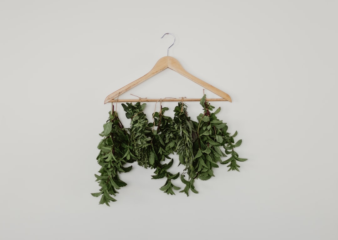 Can I grow my own herbs for tea? by Growing Teas shape