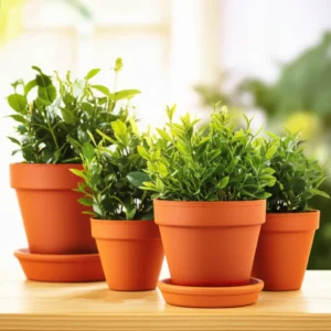 Featured image for 7 Easiest Tea Plants to Grow Indoors for Beginners 2025
