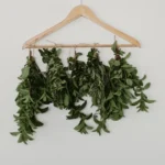 Featured image for 10 Expert Tea Leaf Flavor Enhancement Tips You Need to Try 2025