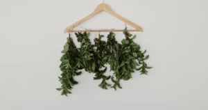 Featured image for 10 Expert Tea Leaf Flavor Enhancement Tips You Need to Try 2025