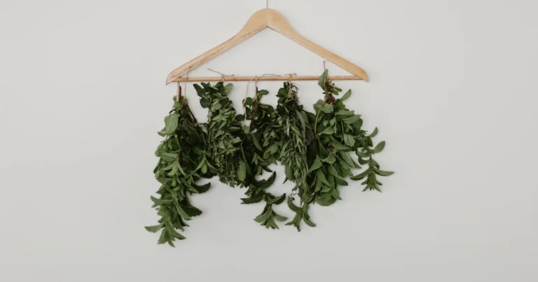 Featured image for 10 Expert Tea Leaf Flavor Enhancement Tips You Need to Try 2025