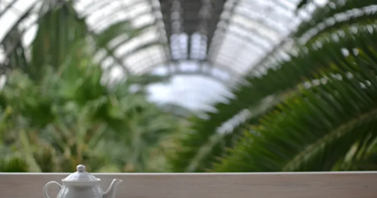 Featured image for Ultimate Indoor Tea Garden Setup Guide 9 Expert Steps for 2026