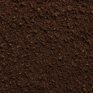 Featured image for 7 Secrets to the Perfect Soil for Propagating Tea Plants 2026